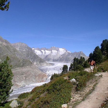 Mischabelblick Apartman Fiesch Kültér fotó