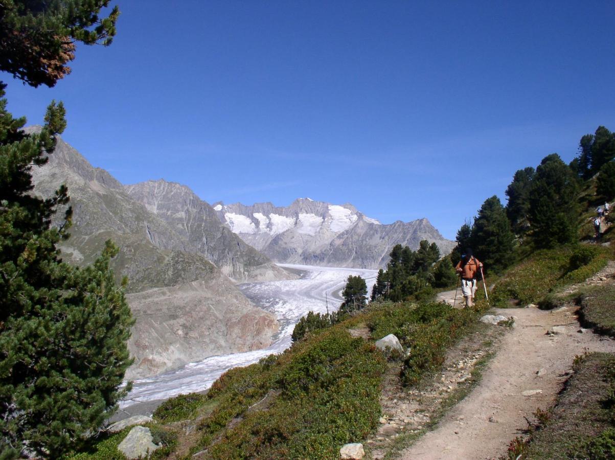 Mischabelblick Apartman Fiesch Kültér fotó